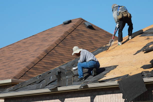 Best Roof Insulation Installation  in Belvedere, CA