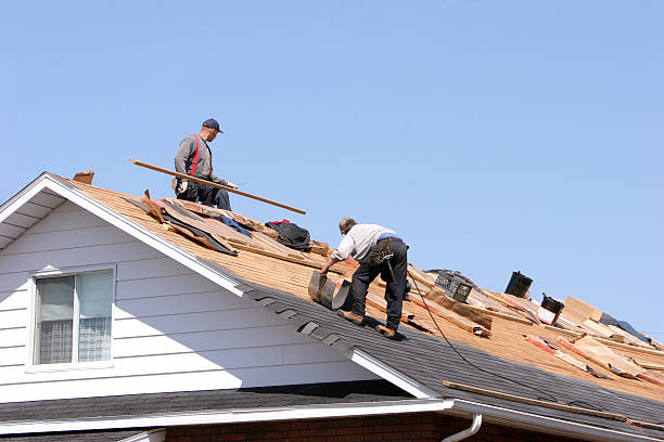 Best Roof Installation  in Belvedere, CA